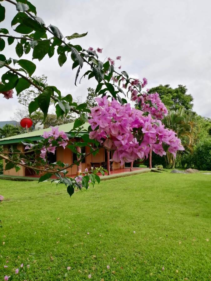 비자구아 Casita El Jardin 빌라 외부 사진
