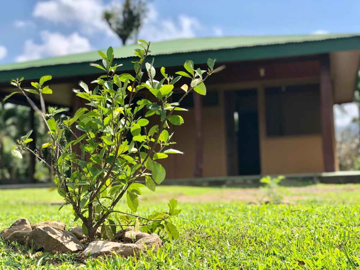 비자구아 Casita El Jardin 빌라 외부 사진