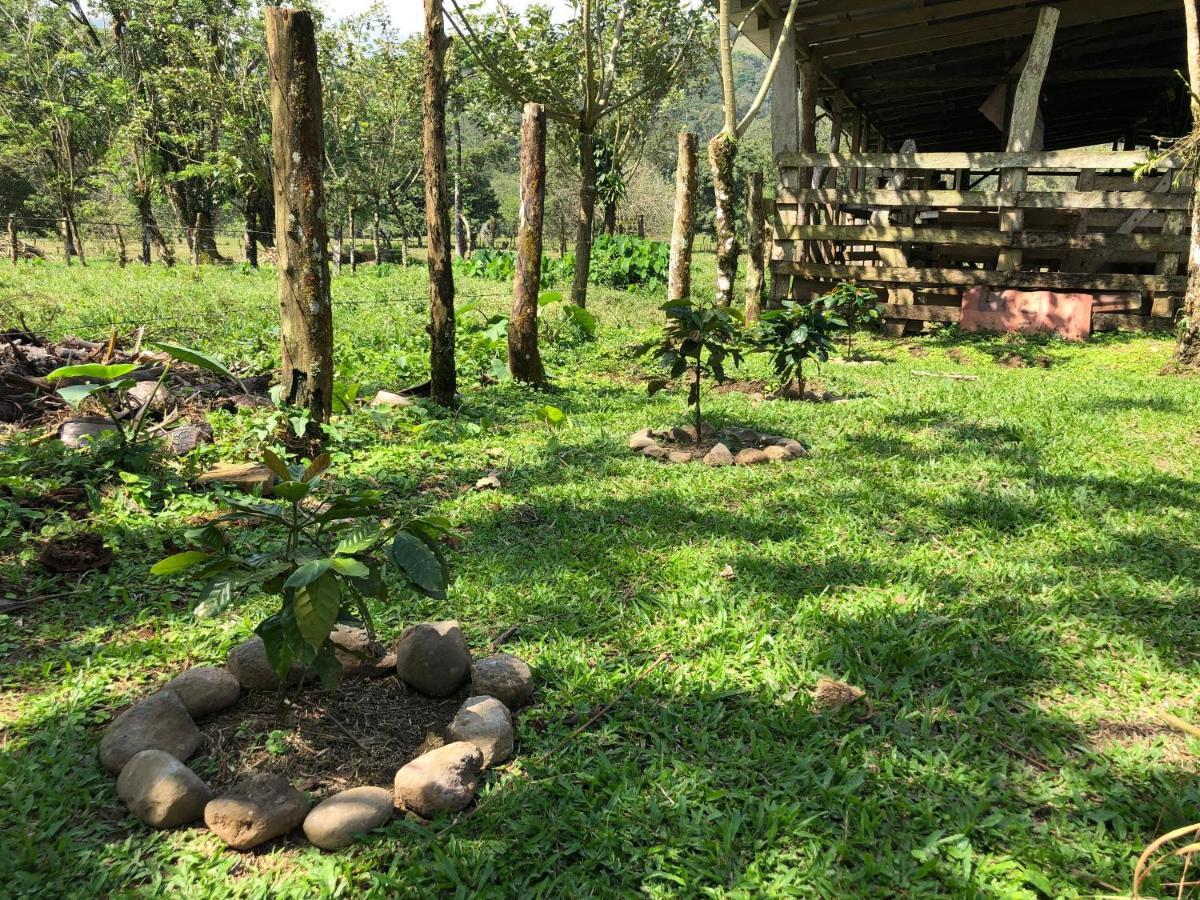 비자구아 Casita El Jardin 빌라 외부 사진